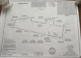 29778006