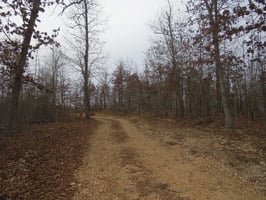 29779067