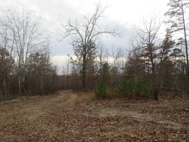 29779062