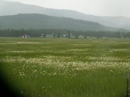 29779374