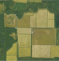 29784425