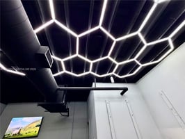 29785806