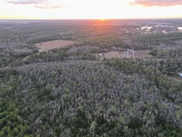 34170607