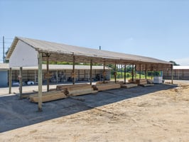 29790847