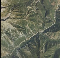 29798044