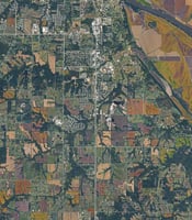 29798668