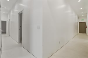 29800058