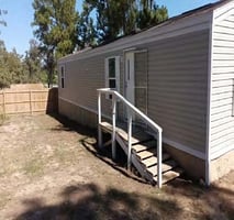 29803784