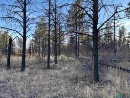 29803950