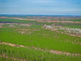 29804127