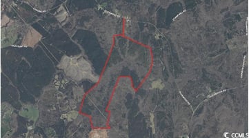 31444698