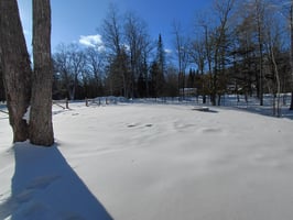 29804695