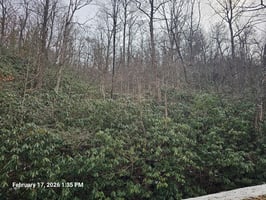 29811644