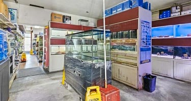 33531841