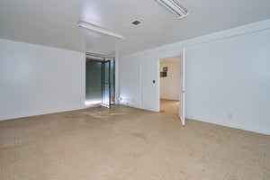 29816131