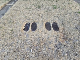 29818662