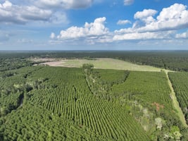 31662875
