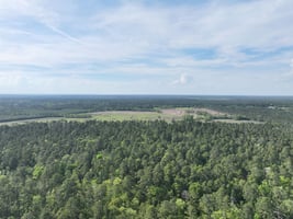 31662861