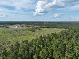 31662858