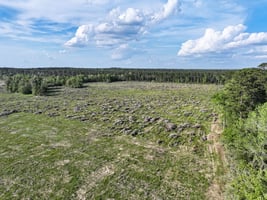 31662884
