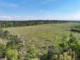 31662899