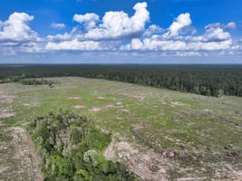 31662876