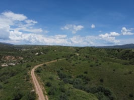 29835391