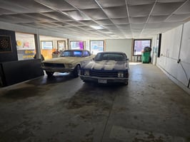 29852206
