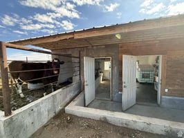 29838493