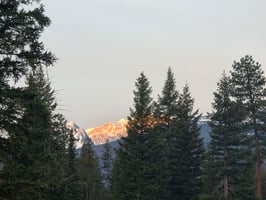 31549828