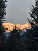 31549838
