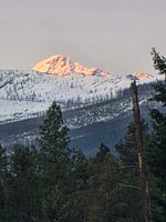31549827