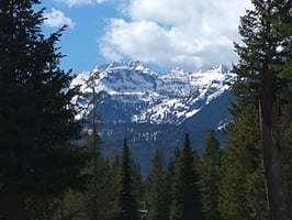 31549852