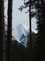 29839116