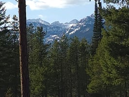 29839124
