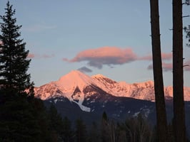 31549830