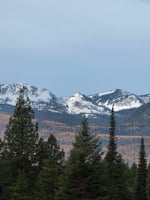 29839126