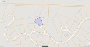 29845205