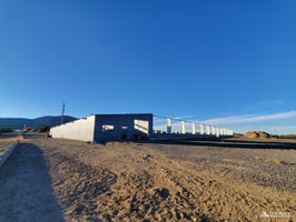 29853084