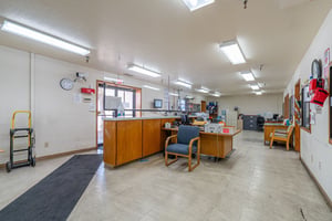 30056367