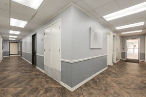 29856372