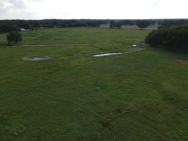 29885803