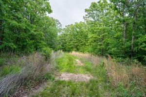32677340