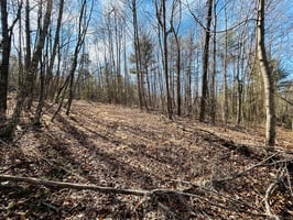 29870093