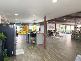 29877449