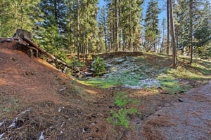 29876583