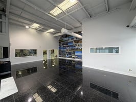 29878739