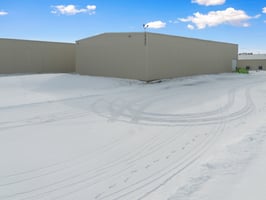 29879393