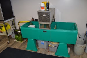 29881004