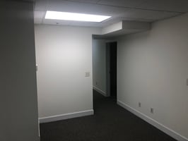 34225055